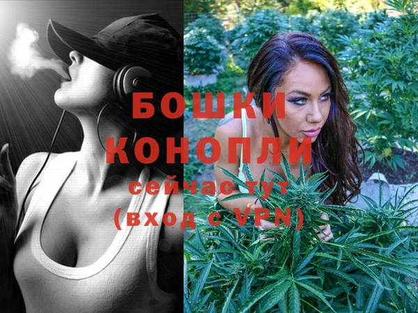 ECSTASY Богородицк