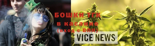 ECSTASY Богородицк