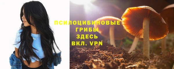 бошки Богданович