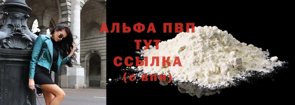 стаф Беломорск