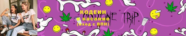 ECSTASY Богородицк