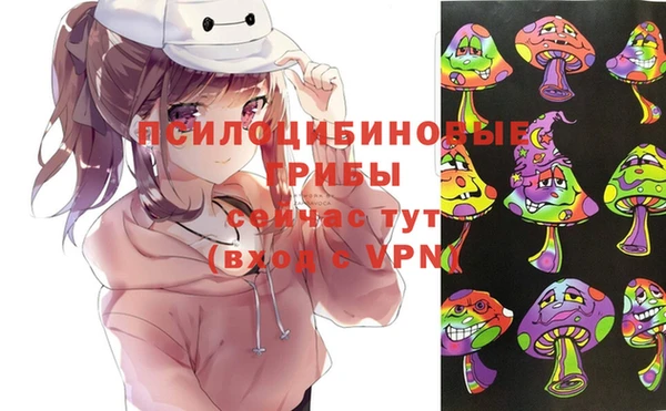 ECSTASY Богородицк