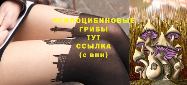 бошки Богданович