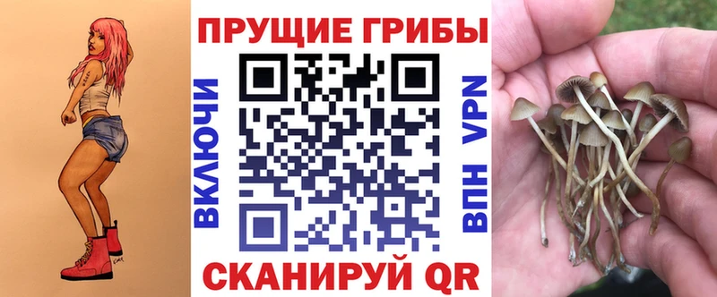 Галлюциногенные грибы Psilocybe  Бутурлиновка 